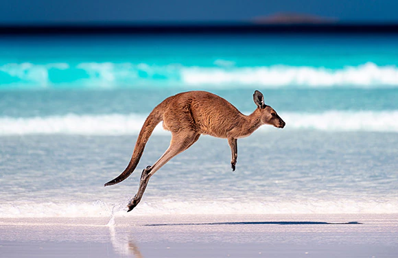 Australia & New Zealand