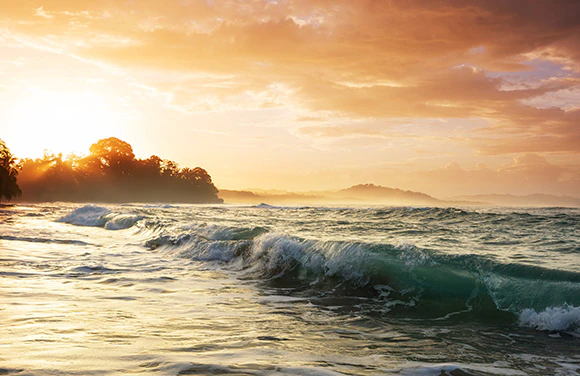 Mexico & Pacific Coast