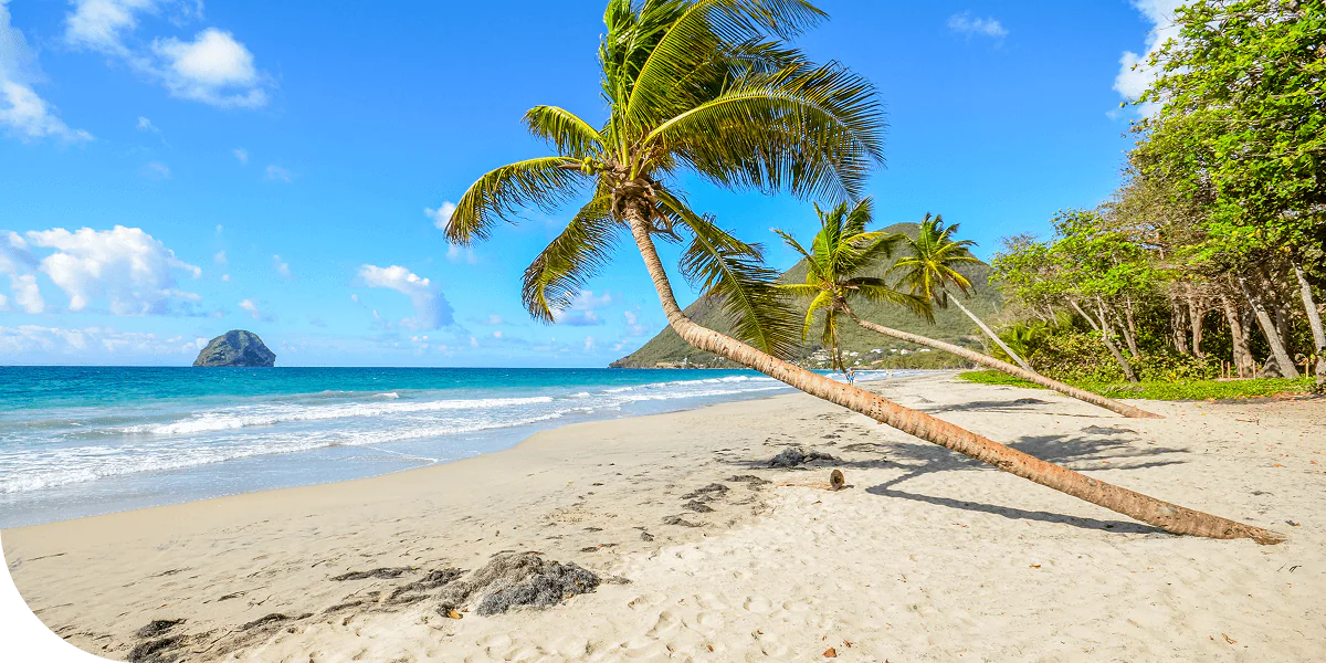 Martinique, Mexico.