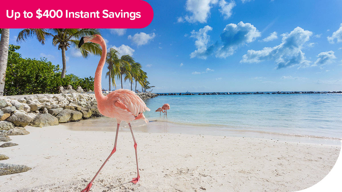 Up to $400 instant savings. A flamingo walks along the beach in Aruba.