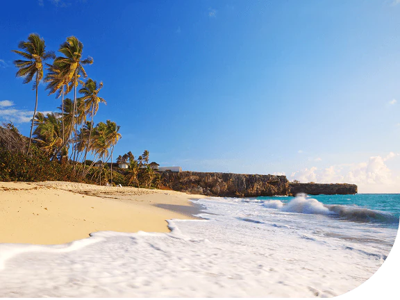 Beach, palm trees and blue water. Barbados.