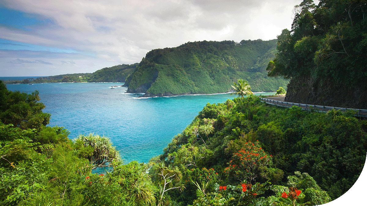 A scenic view of a road winding along a cliff overlooking the ocean, with Kahana Bay visible in the background. The landscape features lush greenery and coastal landforms under a partly cloudy sky.