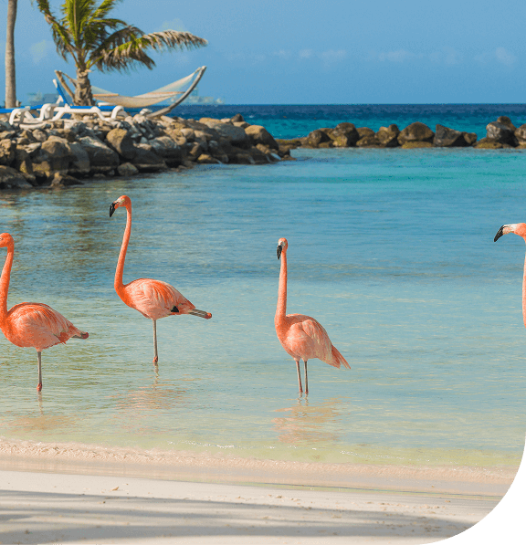 Aruba.