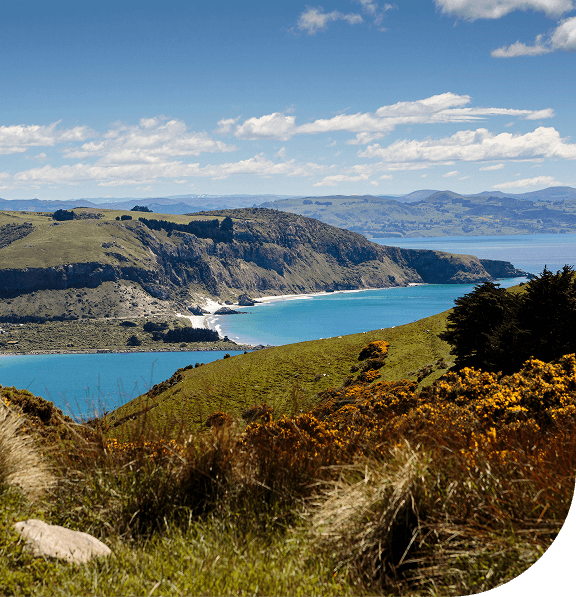 Mountain top view of the coast of Dunedin, New Zealand.