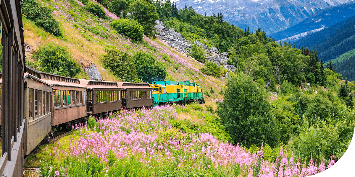 Train traveling along White Pass Rail, Alaska.
