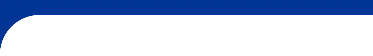 Section divider
