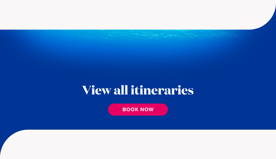 Tropical fish swim across a clear blue sea. View all itineraries. Book now.