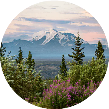 A majestic mountain with a snow-covered peak rises against a clear blue sky, surrounded by lush greenery and scattered clouds.