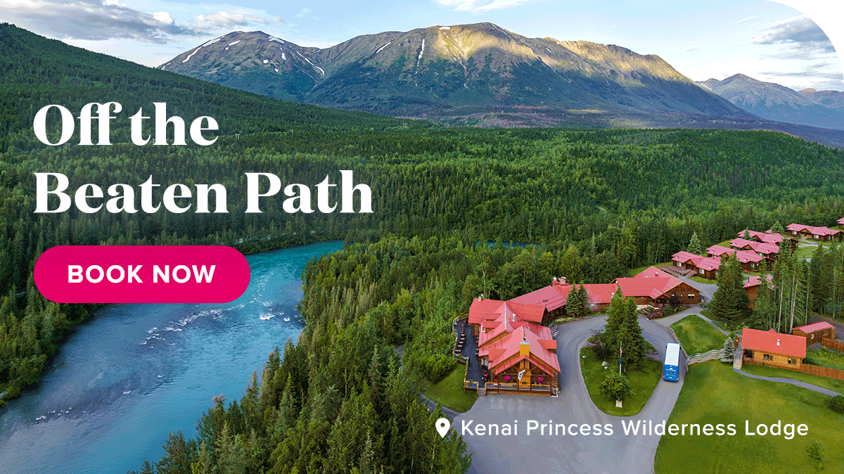 Off the beaten path. Kenai Princess Wilderness lodge. Book Now.