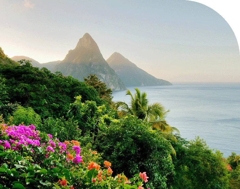 An aerial view of the mountains of St. Lucia, Caribbean, overlooking the sea.