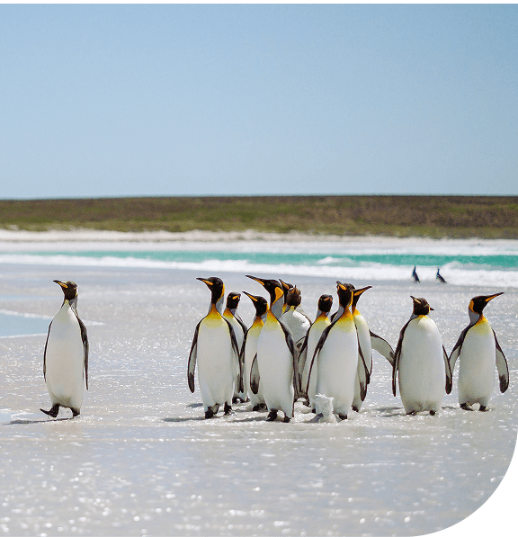 Stanley, Falkland Islands.