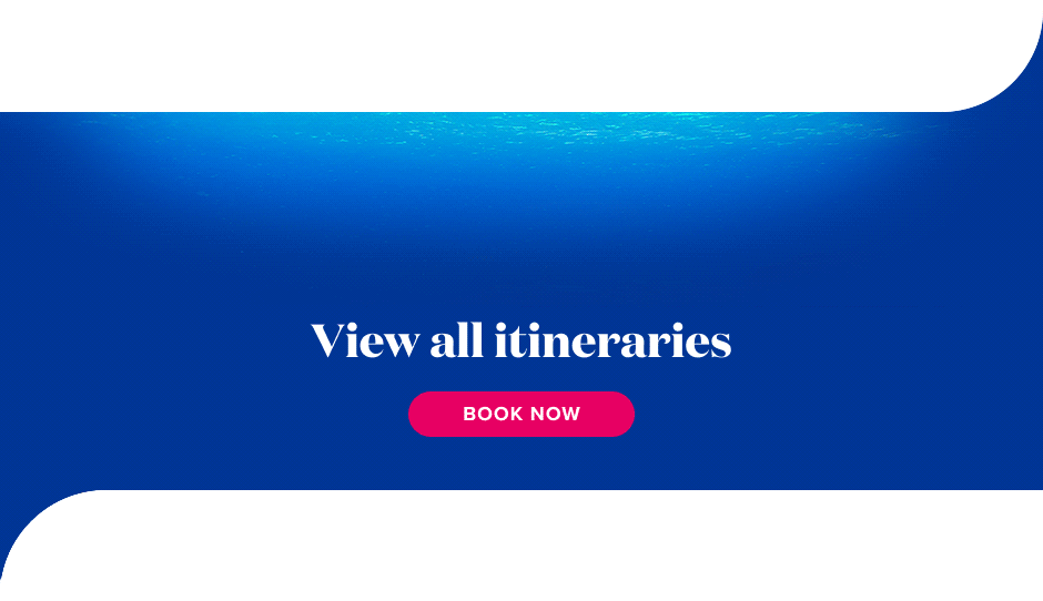 Tropical fish swim across a clear blue sea. View all itineraries. Book now.