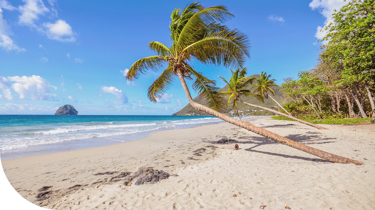 A sandy beach in Martinique, Caribbean.