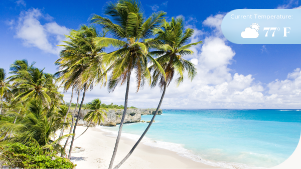Tropical coastline, palm trees, white sandy beach and blue skies and waters of Barbaods