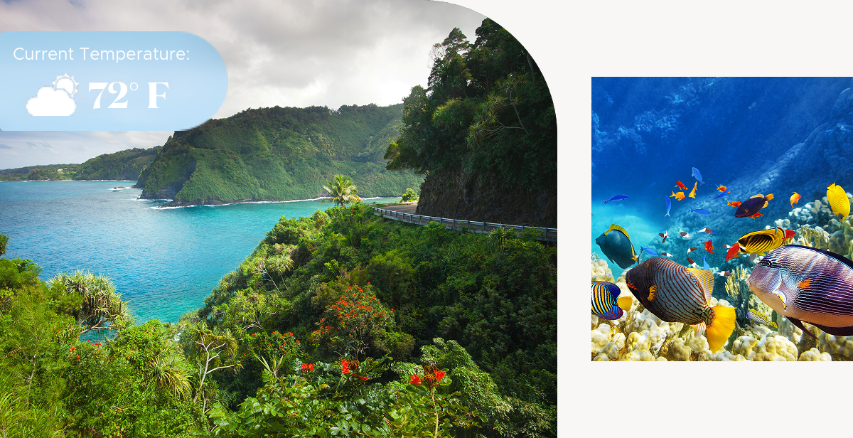 Tropical coastline, blue skies and waters of Maui