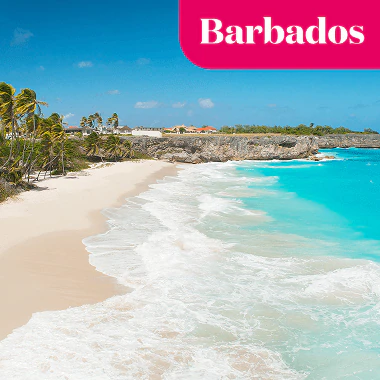 Aerial view of palm trees, sandy beach and blue skies and waters of Barbados.