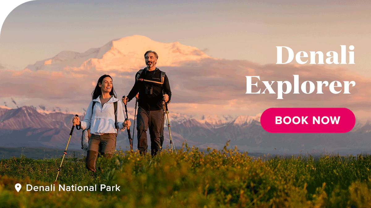 Denali Explorer. Book Now.