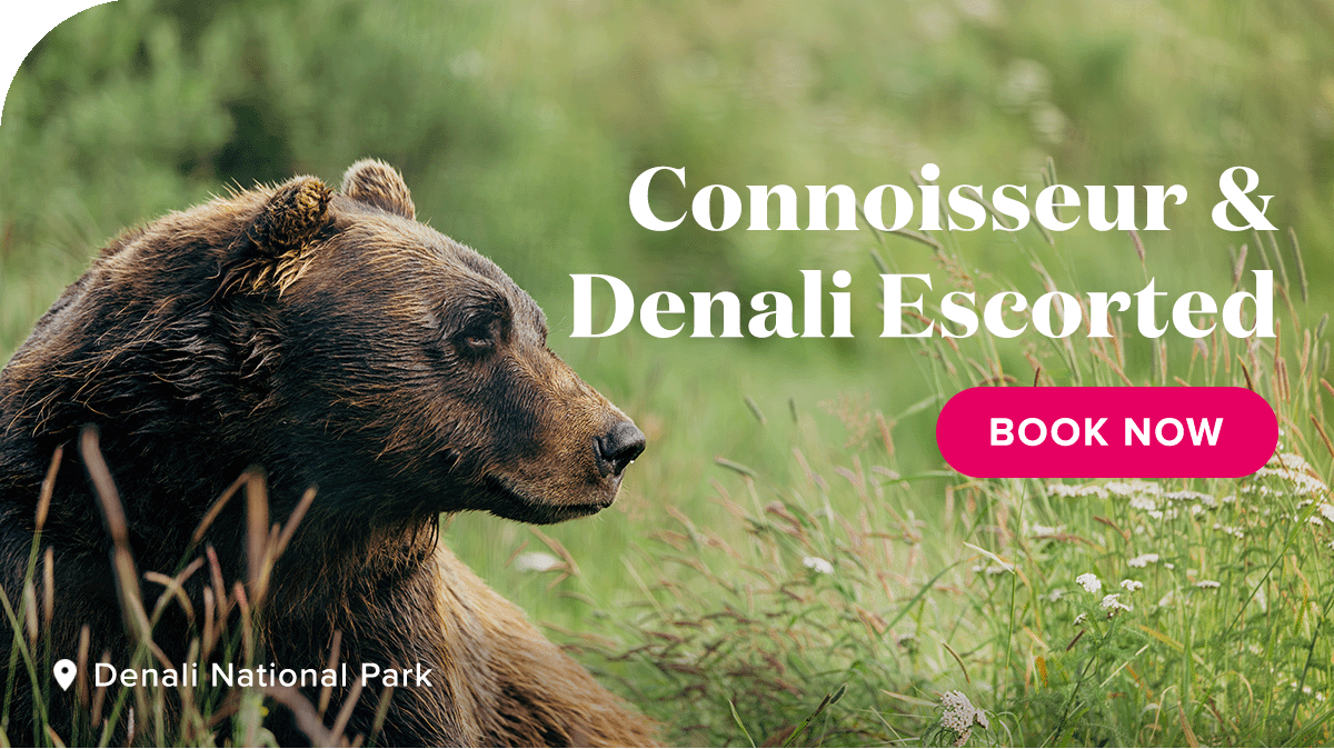 Connoisseur & Denali Escorted. Denali National Park. Book Now.