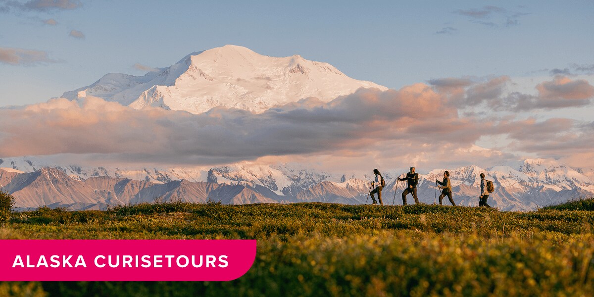 Alaska cruisetours. Two couples hiking along trail in Denali National Park, Alaska.