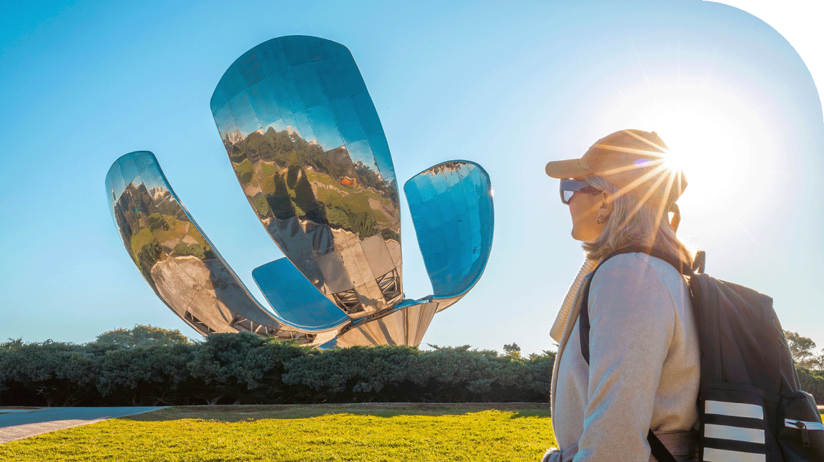 A traveller viewing a sculpture.
