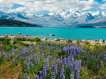 Tekapo, New Zealand