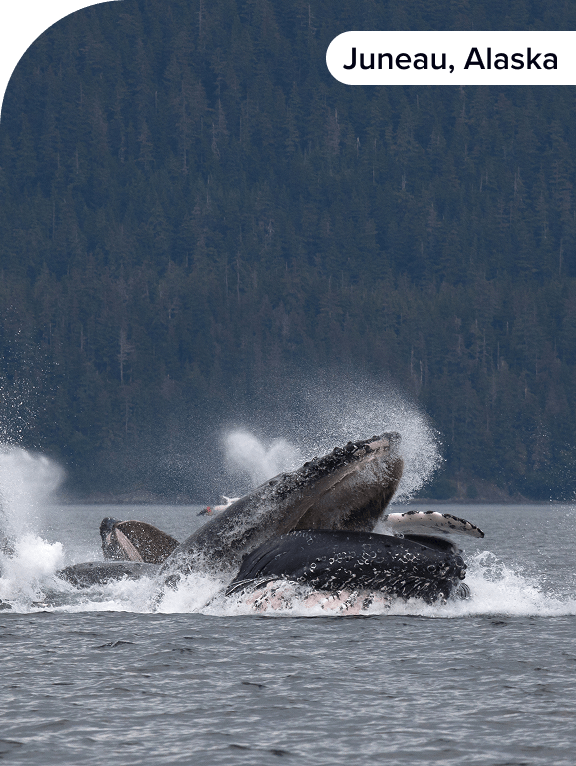 Juneau, Alaska