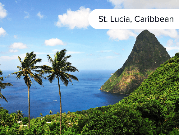 Tropical coastline of St. John's
