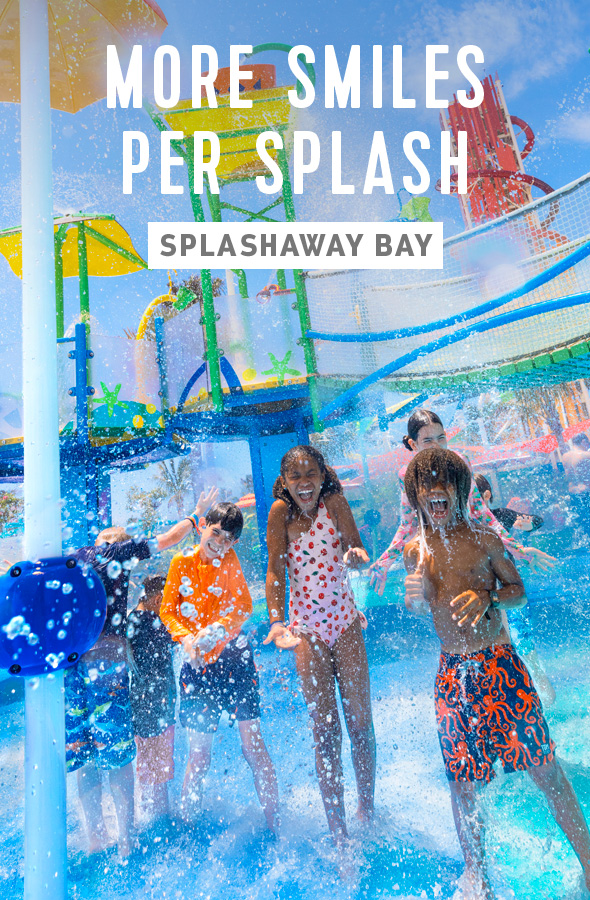 SPLASHAWAY BAY