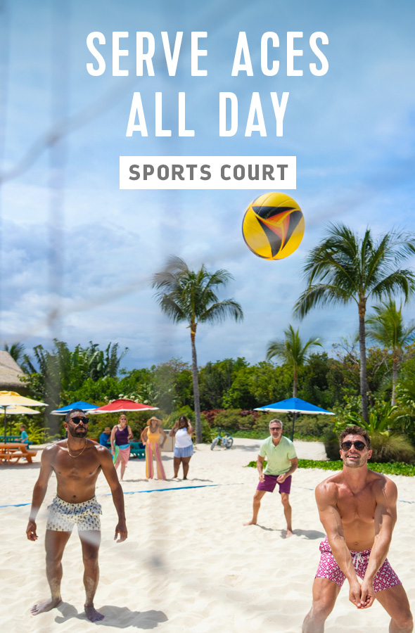 SPORTS COURT