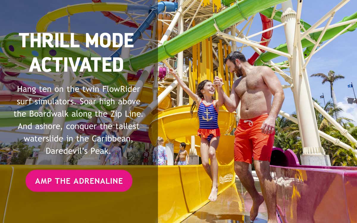 AMP THE ADRENALINE