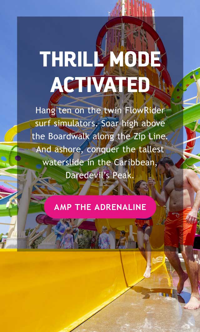 AMP THE ADRENALINE
