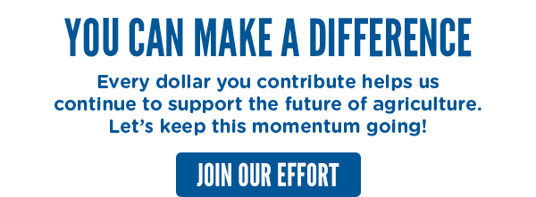 JOIN OUR EFFORT AND DONATE