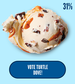 Vote turtle dove here