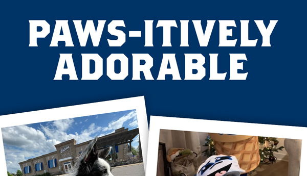 PAWS-ITIVELY ADORABLE