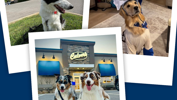 From backseat ride-alongs to sunny patio hangs, it's clear our furry friends love a Culver's run just as much as we do.