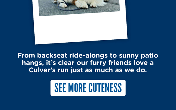SEE MORE CUTENESS