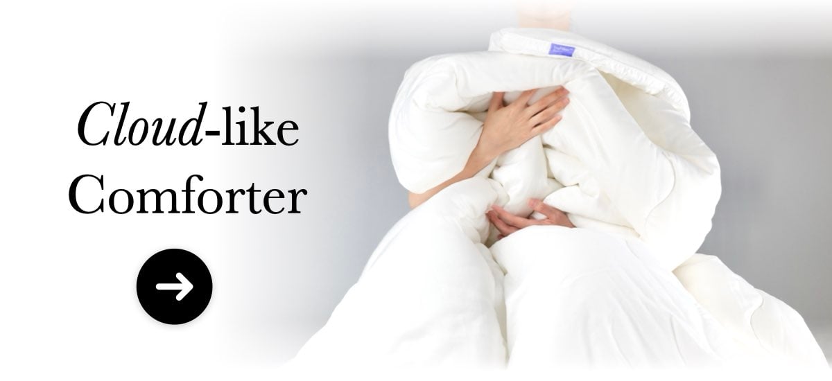 Comforter