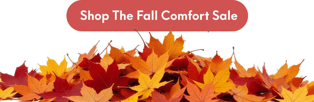 [SHOP THE FALL COMFORT SALE]