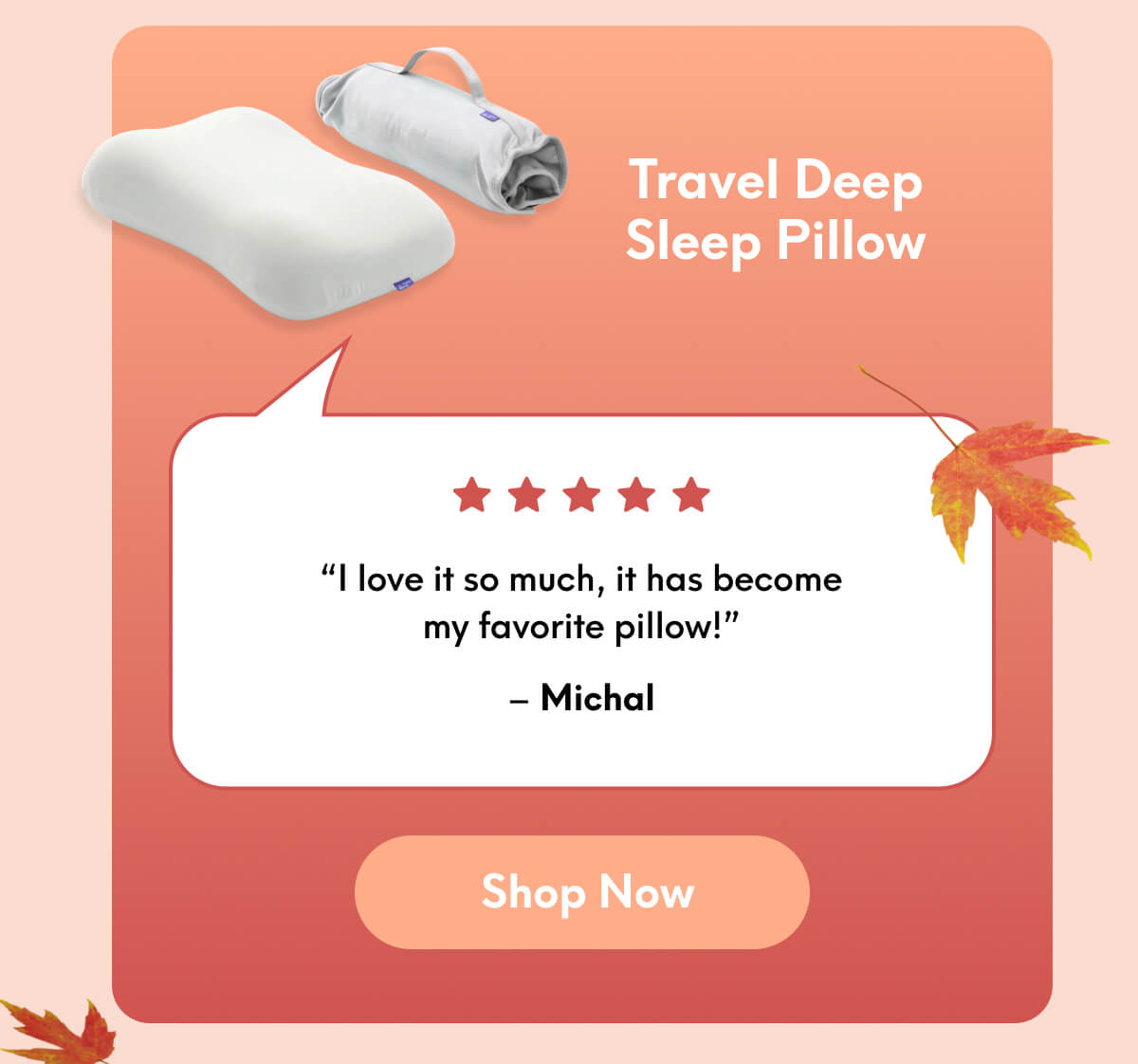 Travel Deep Sleep Pillow | “I love it so much, it has become my favorite pillow!” - Michal | [SHOP NOW]