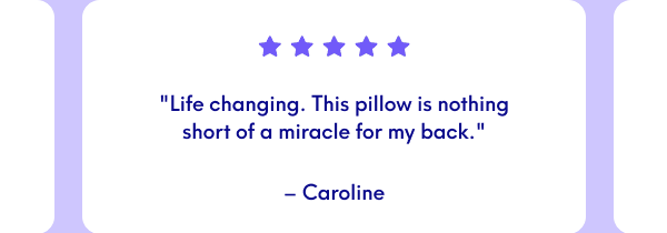 "Life changing. This pillow is nothing short of a miracle for my back." - Caroline  "This is the lumbar cushion to get! This is exactly what I needed and I'm so glad to have bought it!" - Daniel  "Sheer Snob APPROVED! These are now THE BEST SHEETS in my staple and my go-to set." - Lana H