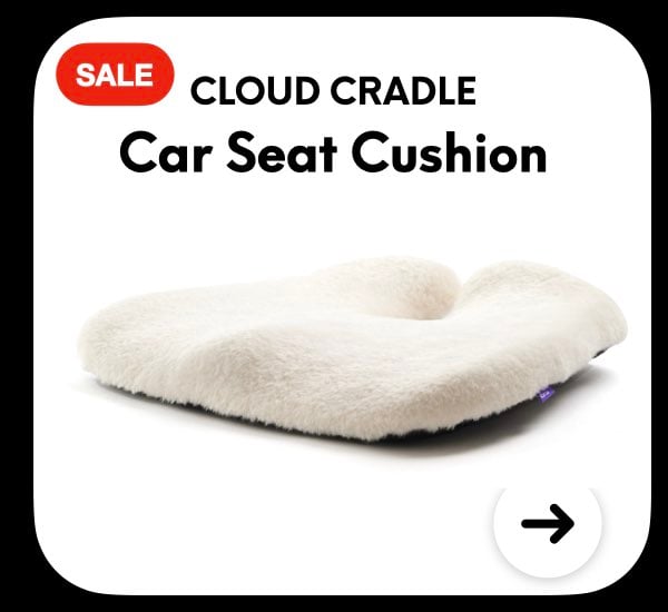Car Seat Cloud Fur