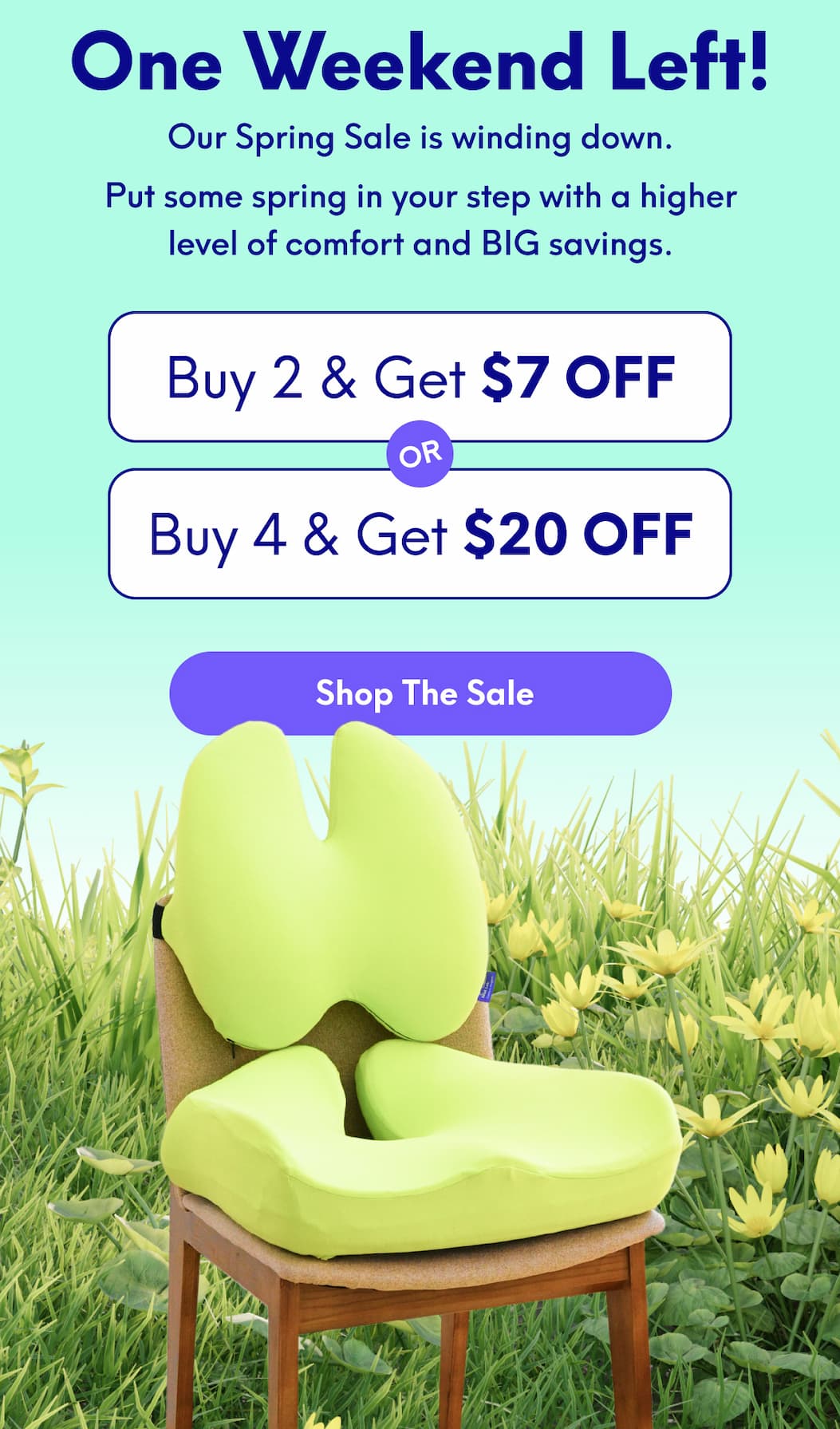 One Weekend Left! Our Spring Sale is winding down - Put some spring in your step with a higher level of comfort and BIG savings. | Buy 2, Get $7 Off Or Buy 4, Get $20 Off | [SHOP THE SALE]