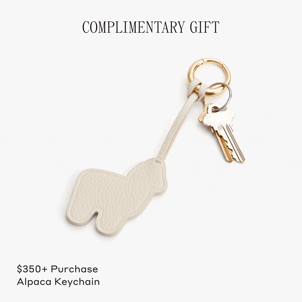 Complimentary Gift With Purchase of $350+