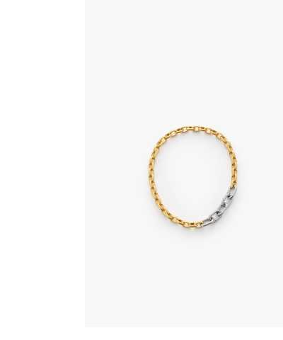 Duo Chain Necklace