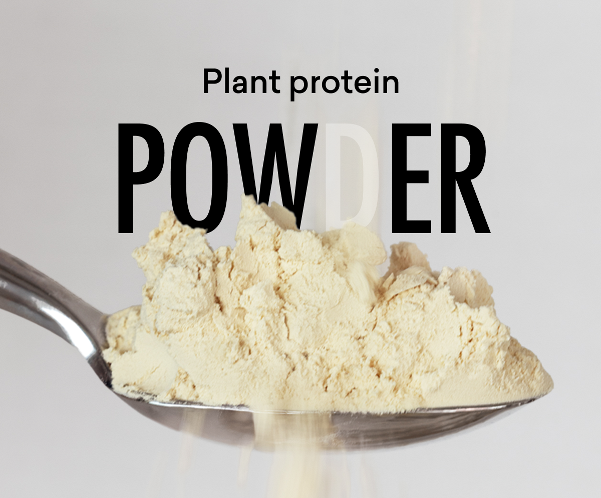 plant protein powder