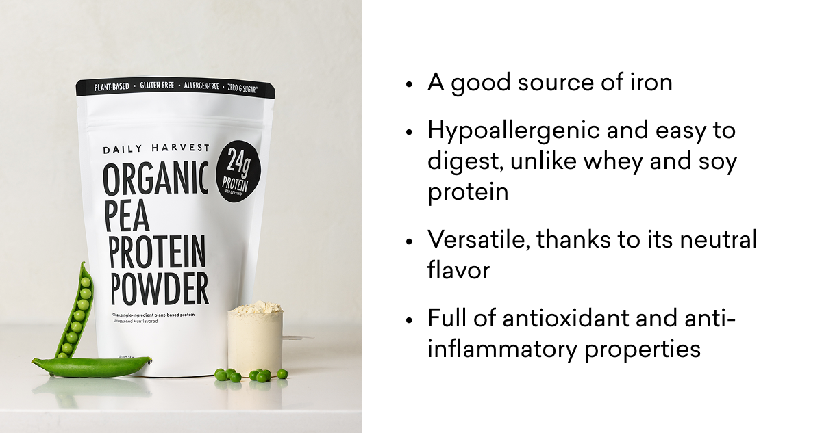 protein powder
