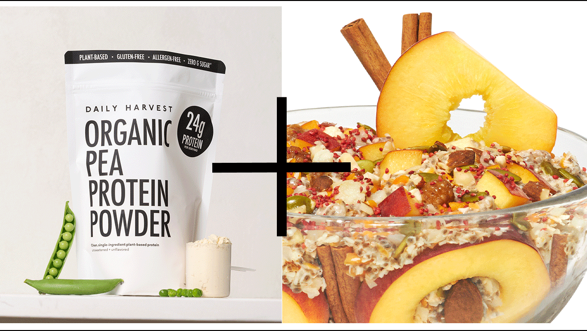 protein powder