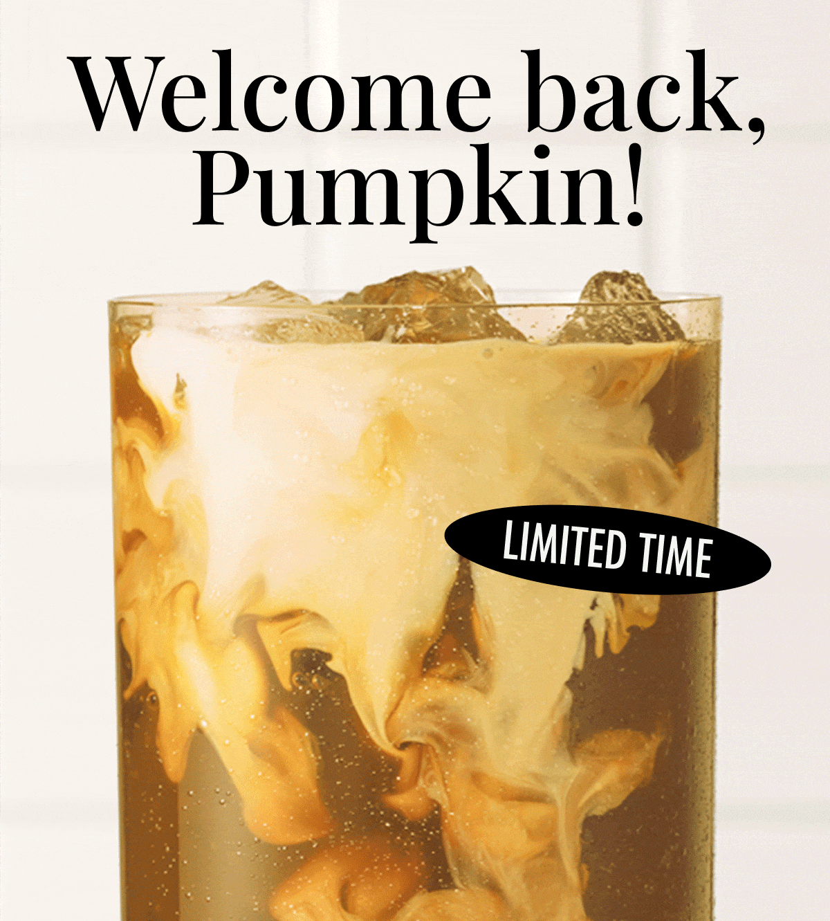 Welcome back Pumpkin!