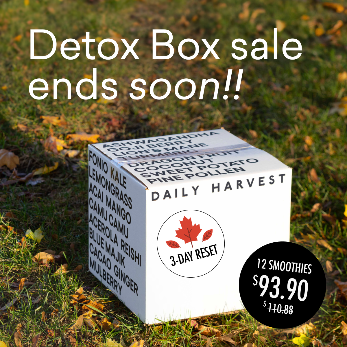 Detox Box sale ends soon!!