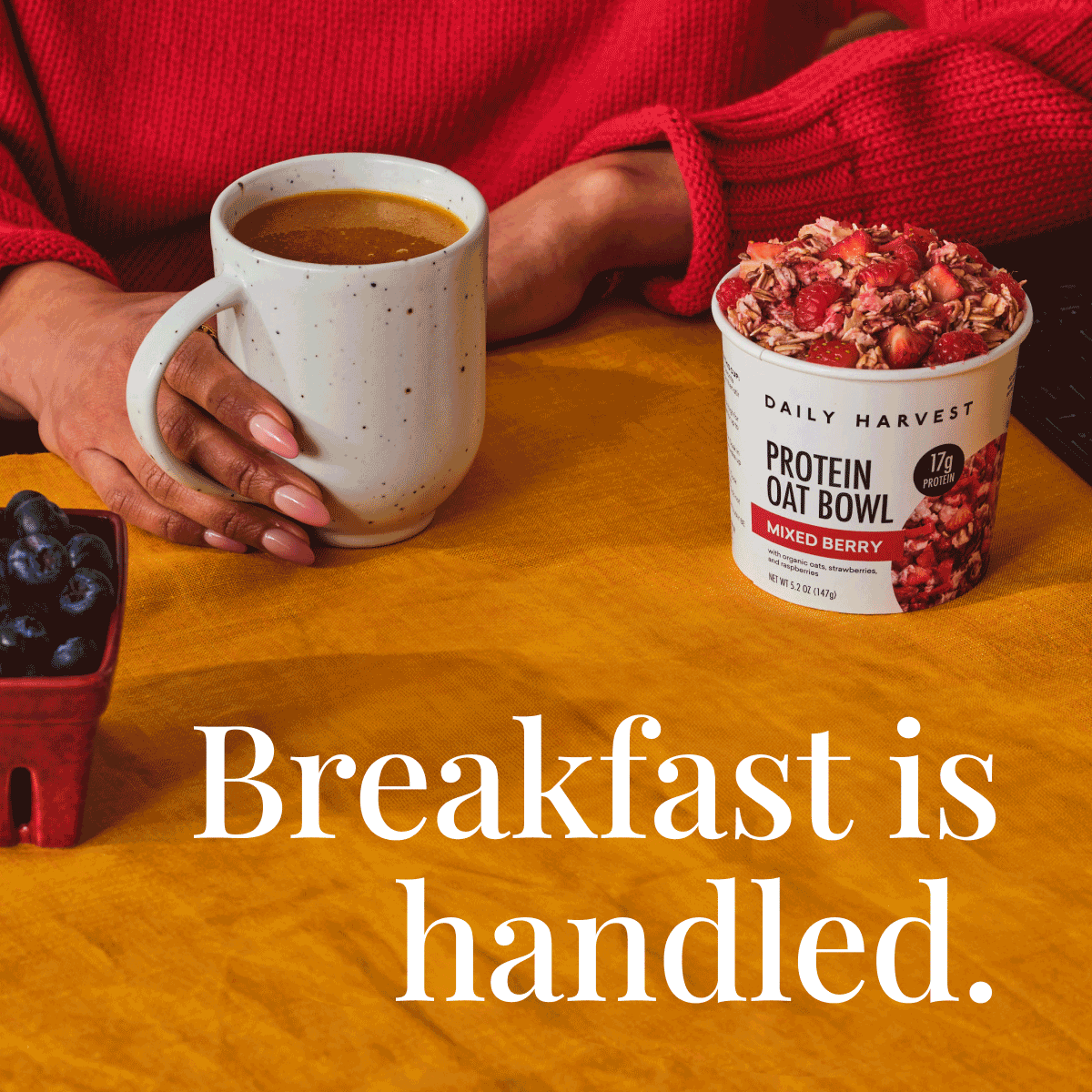 Breakfast is handled.